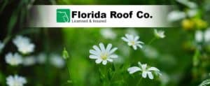Spring Roofing Discounts Jacksonville Florida